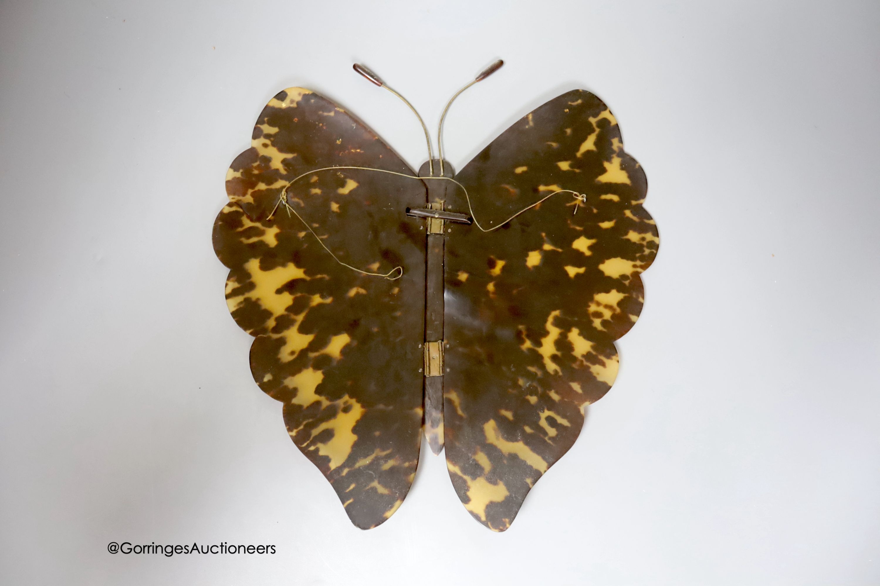 A tortoiseshell butterfly mount, Early 20th century 28cm x 26cm